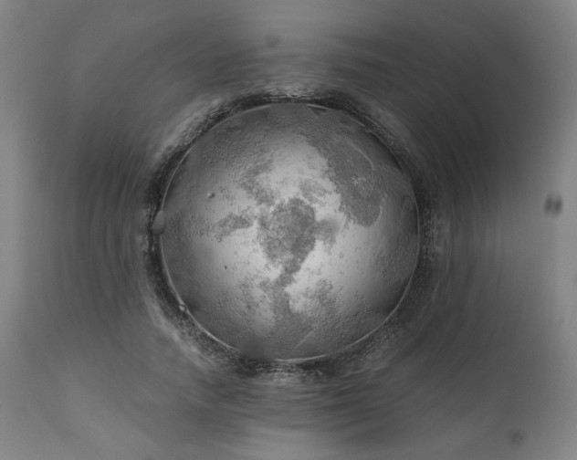 X0000111030738200906251304
