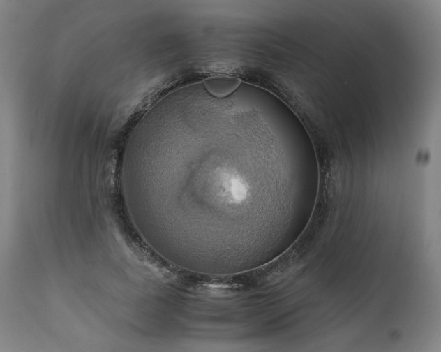 X0000111030739200906251304