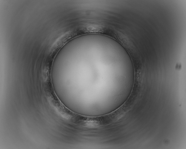 X0000111030741200906251304