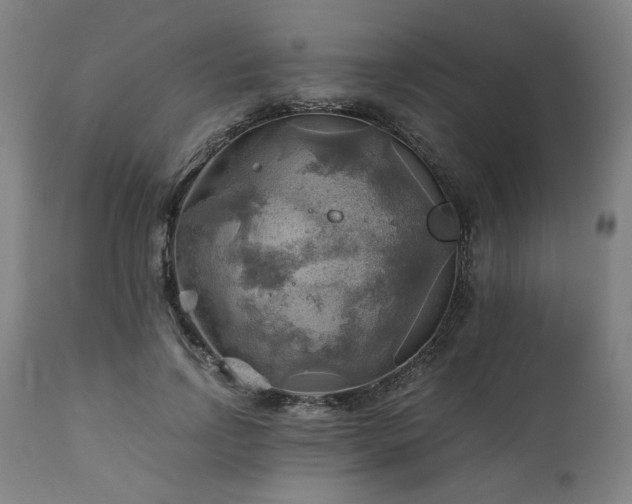 X0000111030742200906251304