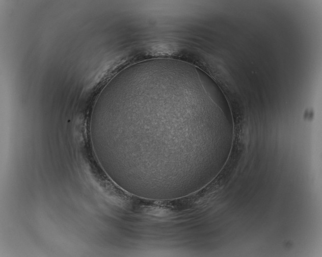 X0000111030743200906251304