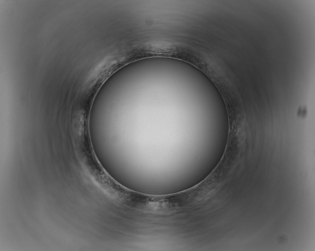 X0000111030744200906251304