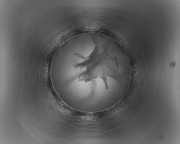 X0000111030745200906251304