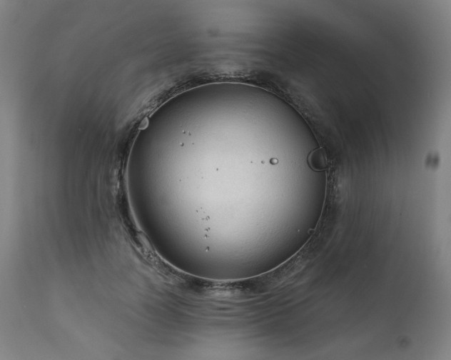 X0000111030746200906251304