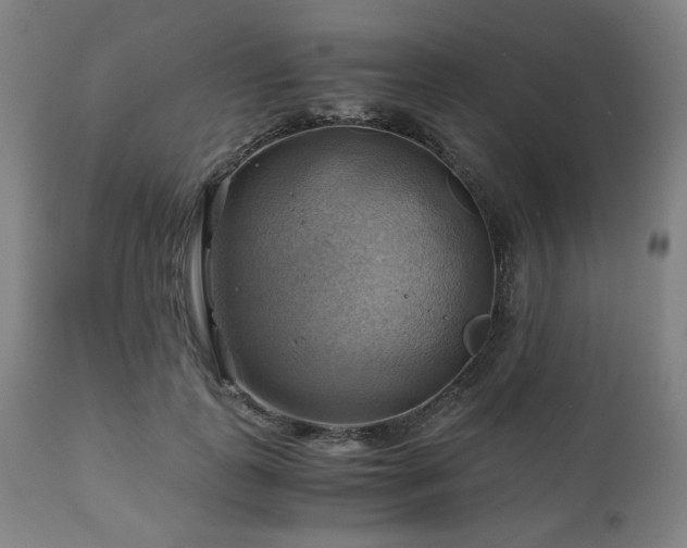 X0000111030747200906251304