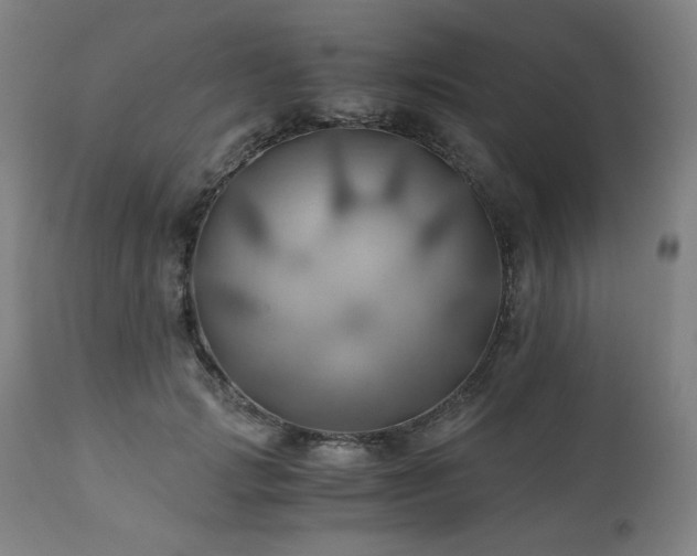 X0000111030749200906251304