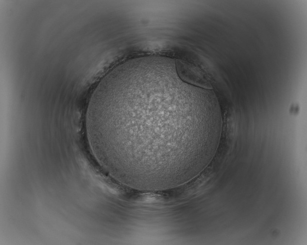 X0000111030750200906251304