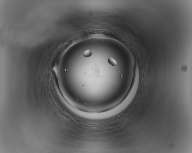 X0000111030752200906251304