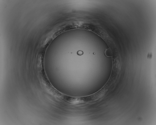X0000111030754200906251304