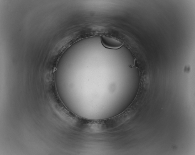 X0000111030756200906251304