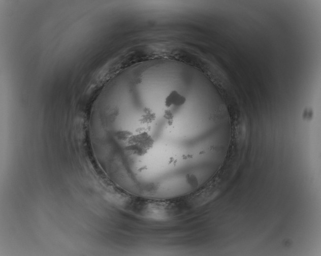 X0000111030757200906251304