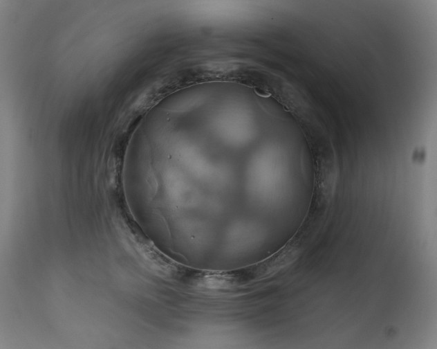 X0000111030758200906251304