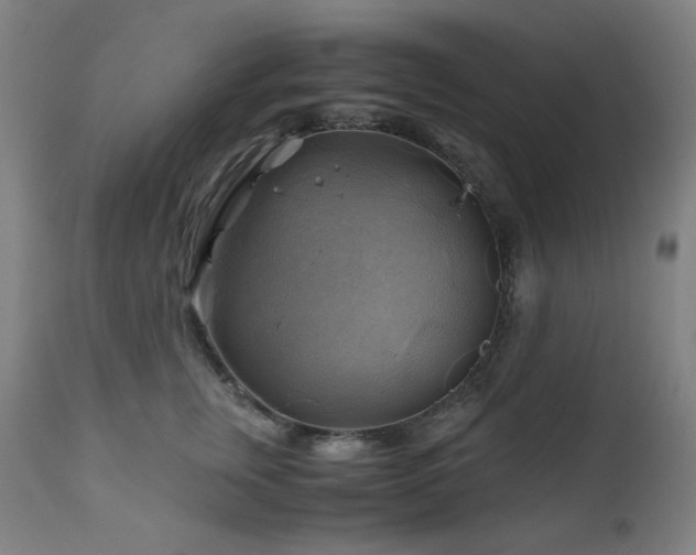 X0000111030759200906251304