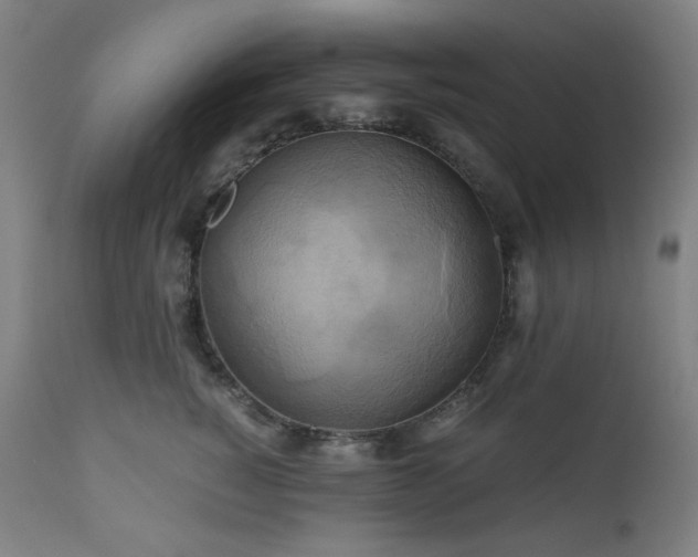 X0000111030760200906251304