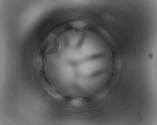 X0000111030761200906251304