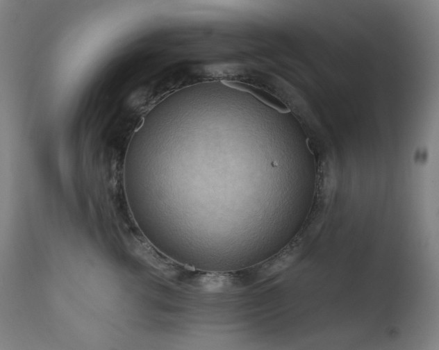 X0000111030762200906251304