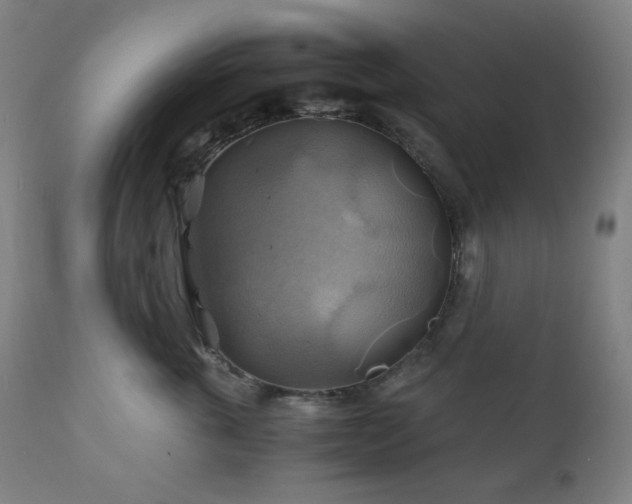 X0000111030763200906251304