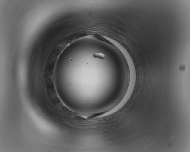 X0000111030764200906251304