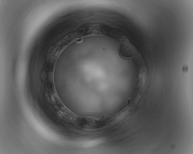 X0000111030765200906251304