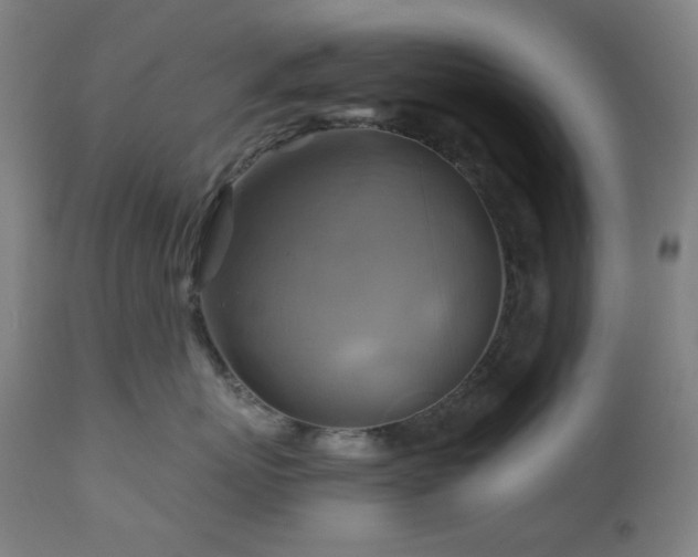 X0000111030767200906251304