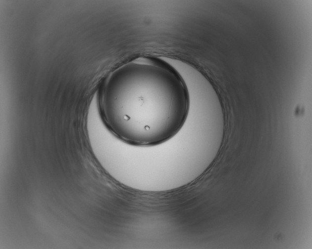 X0000111030768200906251304