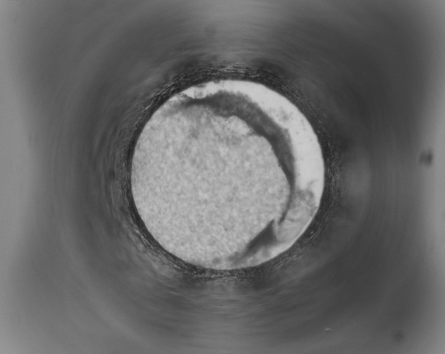 X0000111030769200906251304