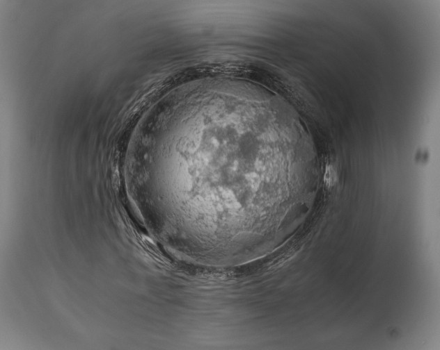 X0000111030771200906251304