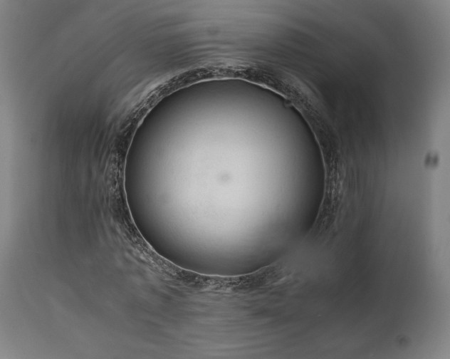 X0000111030773200906251304