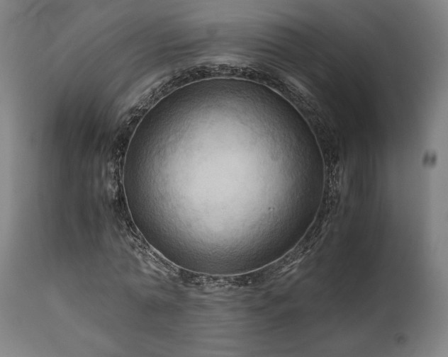 X0000111030774200906251304