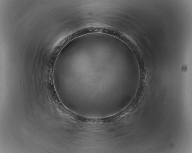 X0000111030775200906251304