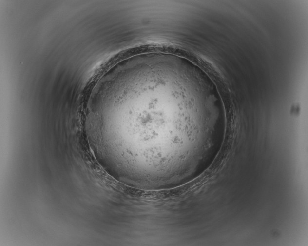 X0000111030776200906251304