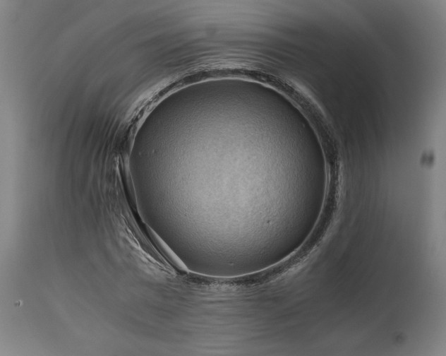 X0000111030777200906251304