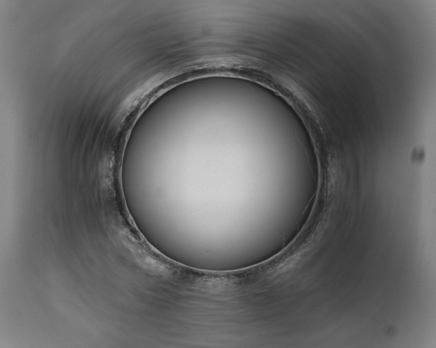 X0000111030778200906251304