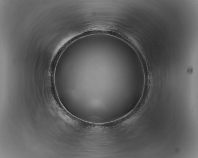 X0000111030779200906251304