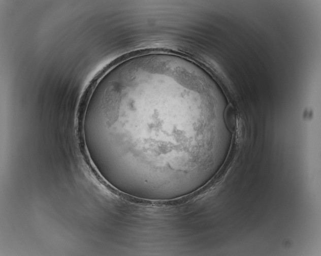 X0000111030780200906251304