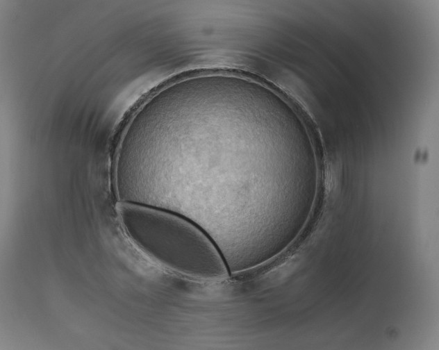 X0000111030781200906251304