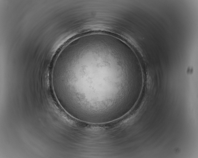 X0000111030782200906251304