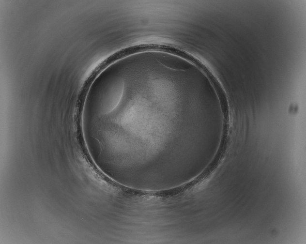 X0000111030783200906251304