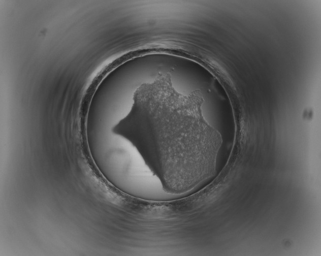X0000111030784200906251304