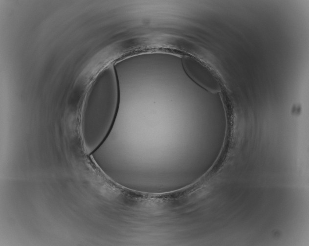 X0000111030785200906251304