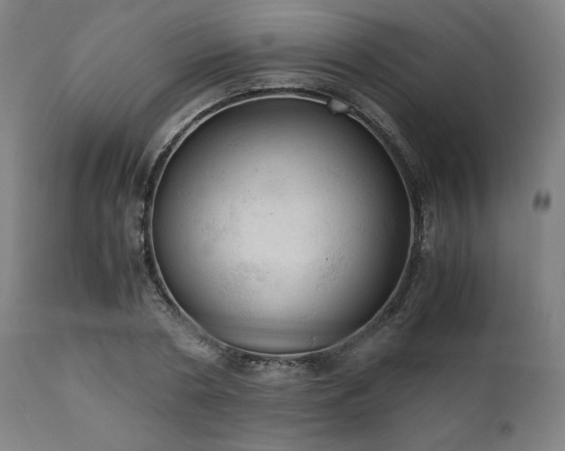 X0000111030786200906251304