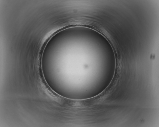 X0000111030787200906251304