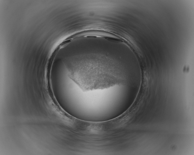 X0000111030788200906251304