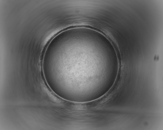 X0000111030789200906251304