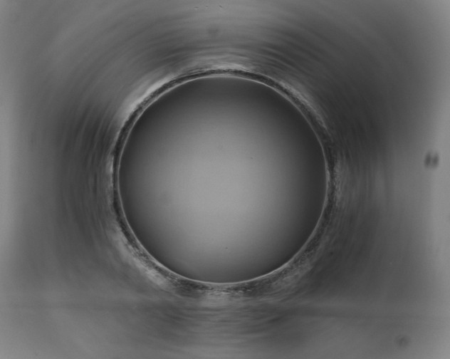 X0000111030790200906251304