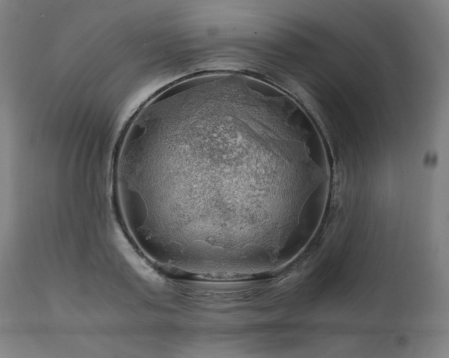 X0000111030795200906251303