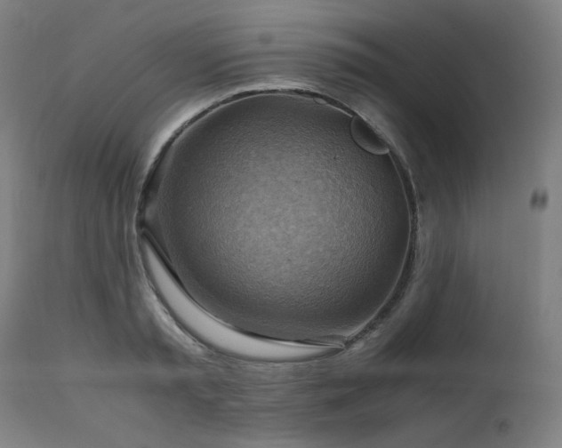 X0000111030797200906251303