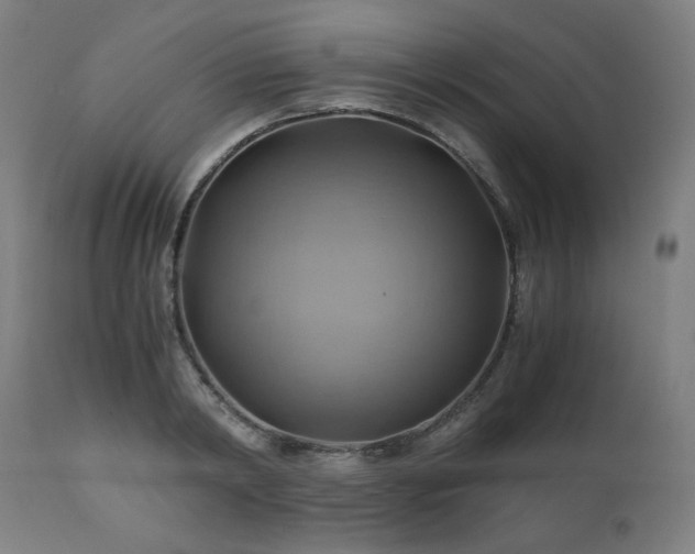 X0000111030798200906251303