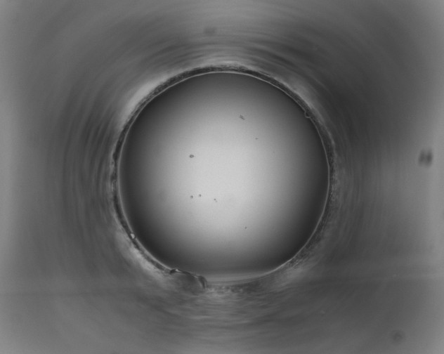 X0000111030799200906251303