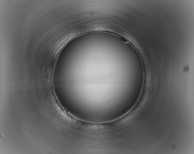 X0000111030801200906251303